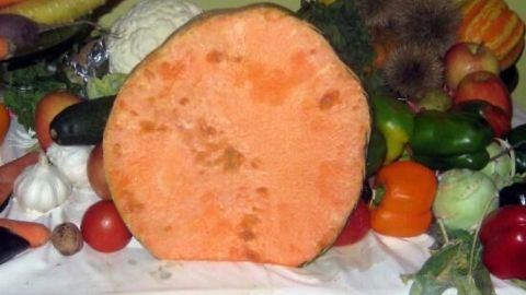 Dicker, orangefarbener Kürbis steht in der Mitte, umgeben von frischem Gemüse auf einem Tisch, ideal für Kürbis-Pommes.