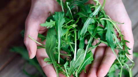 Frische Rucola wird in beiden Händen gehalten, umgeben von einer natürlichen Holzoberfläche.