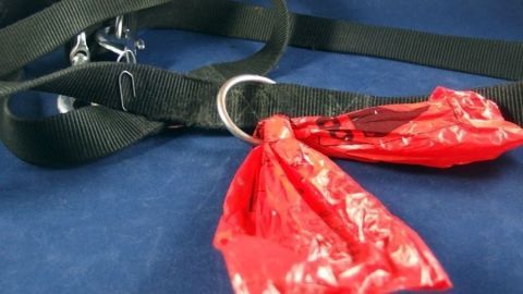 Ein schwarzes Hundehalsband mit roten Tüten für das „Geschäft“ hängt an einem Ring und ist bereit für den Einsatz.