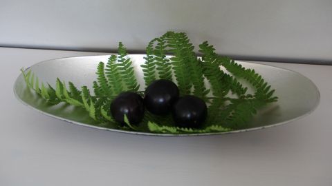 In diesem Bild siehst du frische Früchte, umgeben von Farn, der effektiv gegen Frucht- und Obstfliegen wirkt. Der Artikel gibt dir nützliche Tipps, wie du mit dieser natürlichen Methode die Plagegeister bekämpfen kannst. Drei schwarze Früchte liegen auf einem grünen Farnblatt in einer silbernen Schale, harmonisch angerichtet.