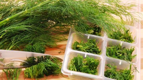 Frisch geschnittene Kräuter liegen neben einer Eiswürfelschale, die mit gehacktem Dill gefüllt ist, bereit zum Einfrieren.