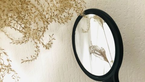 Ein Handspiegel wird benutzt, um die tapezierte Wand auf Feuchtigkeit zu überprüfen; im Hintergrund hängen trockene Pflanzen.