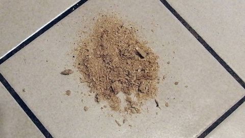 Ein Haufen Erbrochenes liegt auf hellen Fliesen, während daneben ein Lappen zur Reinigung bereitsteht.