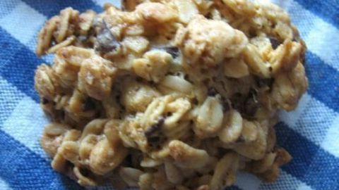Ein Haferflocken-Plätzchen liegt auf einem blauen karierten Tuch, frisch gebacken und genussbereit.