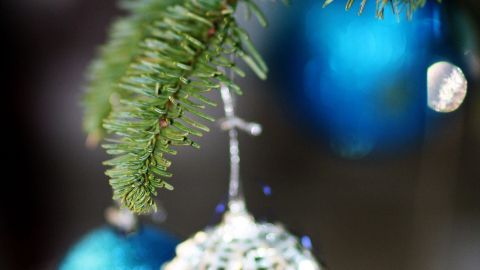Bunte Weihnachtskugeln hängen an einem grünen Tannenbaumzweig und sind mit einer getrockneten Fruchtscheibe dekoriert.