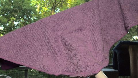 Ein lila Schrubber steht aufrecht und ist bereit, Fenster zu putzen, umgeben von grünem Gartenbereich.