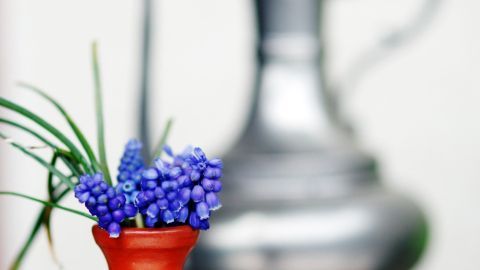 Eine leuchtend rote Vase mit blauen Blumen steht auf einem Tisch, während eine silberne Kanne im Hintergrund leicht verschwommen ist.