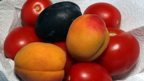 Frisches Gemüse und Obst liegen in einer Schüssel, während Tomaten und eine schwarze Frucht nebeneinander arrangiert sind.