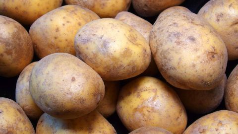Beige Kartoffeln liegen eng zusammen und zeigen eine leicht schmutzige Oberfläche, ideal für die richtige Lagerung.