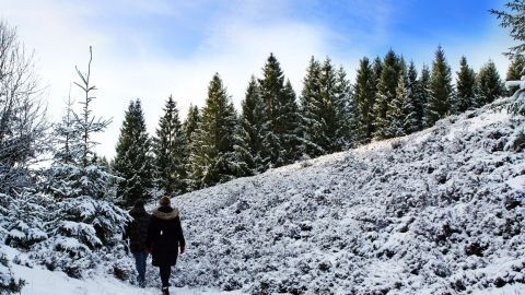 Schneebedeckte Landschaft mit Tannenbäumen, in der eine Person langsam durch den Schnee wandert und die Winterstimmung genießt.