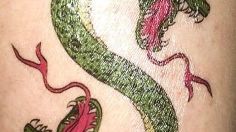 Ein grünes Klebetattoo in Form eines Schlangens mit zwei Köpfen ist auf einem Kinderschenkel sichtbar.