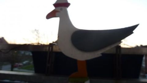 Eine bemalte Möwe steht auf einem Balkon, während die Abenddämmerung den Hintergrund erhellt.