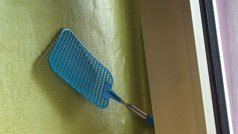 Fenster knallen vermeiden: Fliegenklatsche in das gekippte Fenster stecken. Eine blaue Fliegenklatsche steckt in einem gekippten Fenster, bereit, Fliegen abzufangen und somit Ungeziefer zu vertreiben.