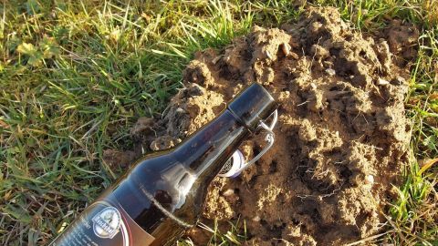 Eine leere Flasche liegt neben einem Maulwurfshügel auf grünem Gras, um das Tier im Garten fernzuhalten.