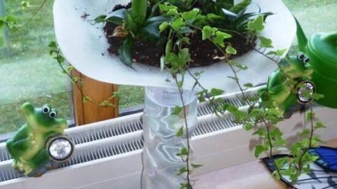Eine Glaschale dient als Pflanzschale, gefüllt mit grünen Pflanzen und umgeben von einem dekorativen Wassersäulenstand.