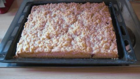Streuselkuchen steht frisch gebacken auf einem Backblech in der Küche und zeigt eine goldbraune Krümelschicht.