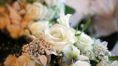 Weiße Blumen liegen dekorativ auf einer Fläche, während sie mit Katzenstreu zum Trocknen vorbereitet werden.