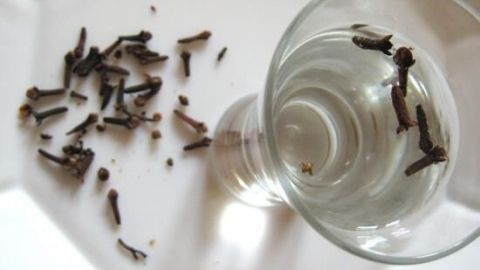 Ein Glas mit Wasser enthält Gewürznelken, die auf einer weißen Unterlage verstreut liegen, um den Nelkentest durchzuführen.