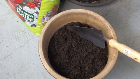 Ein Blumentopf mit frischer Pflanzenerde ist bereit, während eine Schaufel darin liegt, um mit dem Pflanzen zu beginnen.