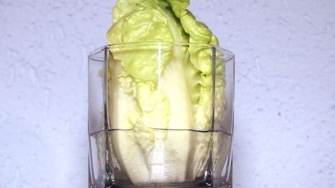 So kann man Salatherzen 2-3 Tage im Kühlschrank frischhalten. Ein Salatherz steht in einem transparenten Behälter mit Wasser, um frisch zu bleiben und länger haltbar zu sein.