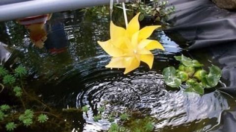 Eine gelbe Blumenfigur schwimmt sanft auf der Wasseroberfläche eines Teichs, umgeben von grünen Pflanzen und sanften Wellen.