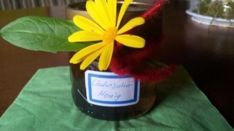 Ein Glas Löwenzahnhonig ist dekoriert mit einer gelben Blüte und einem grünen Blatt auf einem Tisch mit grünem Tuch.