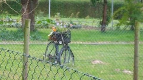 Altes Fahrrad ausgefallene Deko für den Garten Ein altes Fahrrad steht dekorativ in einem Garten, umgeben von Gras und Pflanzen, als kreative Deko für den Außenbereich.