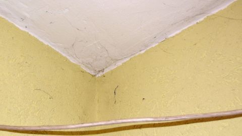 In der Ecke eines Raumes sind Spinnweben sichtbar, während ein Reinigungstool bereit liegt, um sie gründlich zu entfernen.