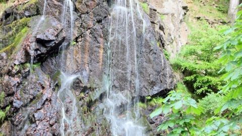 Ein Wasserfall plätschert erfrischend zwischen grünen Bäumen, umgeben von felsigem Gelände und sanfter Natur.