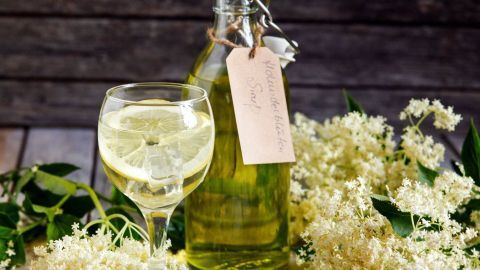 Ein Glas mit klarer Flüssigkeit steht neben einer Flasche Holunderblütensirup, umgeben von frisch geernteten Blüten.