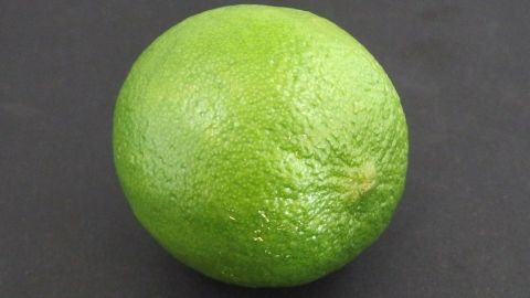 In diesem Artikel erfährst du, wie du Limetten jederzeit für dein Hugo-Getränk zur Verfügung hast. Diese frische Limette ist perfekt für aromatische Cocktails und sorgt für den besonderen Genuss. Eine frische Limette liegt auf einem schwarzen Hintergrund und vermittelt eine fruchtige Note für Hugo-Getränke.