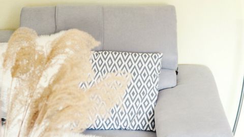 Ein graues Sofa mit einem dekorativen Kissen, umgeben von einem stilvollen Licht und Pflanzen im modernen Wohnraum.