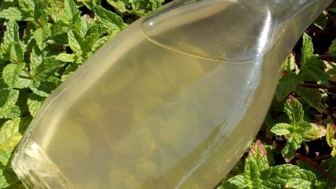 Eine Glasflasche mit klarem Pfefferminzsirup liegt auf frischen, grünen Minzblättern im Sonnenlicht.