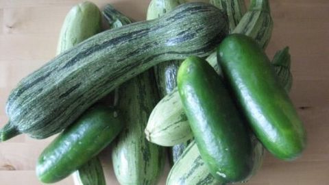 Eine Ansammlung von verschiedenen Zucchini liegt auf einem Holzuntergrund, bereit für die Zubereitung einer Suppe.