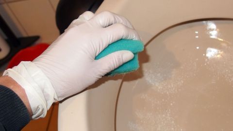 Eine Hand mit einem Einmal-Gummihandschuh hält einen grünen Schwamm, während sie eine Toilette reinigt.