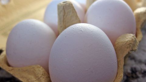Frische Eier liegen in einem Eierkarton und warten darauf, bei Raumtemperatur verarbeitet zu werden.