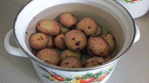 Kartoffelwasser ist ein hervorragender Blumendünger In einem weißen Topf mit buntem Blumendesign schwimmt Kartoffelwasser neben mehreren ungekochten Kartoffeln.