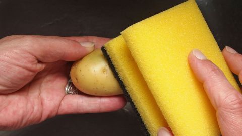 Eine Hand hält eine kleine Kartoffel, während eine andere Hand mit einem gelben Schwamm die Kartoffel im Wasser reinigt.