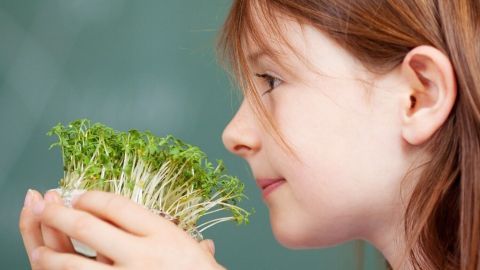 Ein Mädchen hält Kresse im Topf und betrachtet sie neugierig, vor einem unscharfen, grünen Hintergrund.