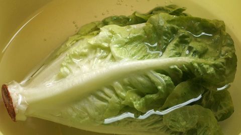Der frische Kopfsalat schwimmt in klarem Wasser, um wieder knackig und ansprechend zu werden.