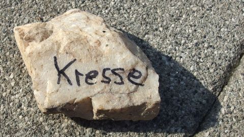 Auf einem Pflasterstein liegt ein handbeschrifteter Stein mit dem Wort „Kresse“, der als Namensschild für Kräuter dient.