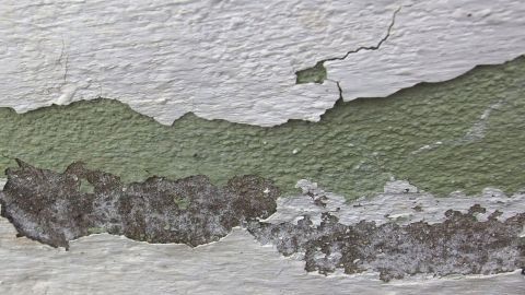 Abblätternder Putz zeigt Schäden an der Wand, die auf zu flüssig angerührten Zementmörtel hindeuten.