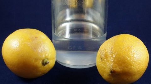 Zwei frische Zitronen stehen neben einem Glas mit klarem Flüssigkeit, bereit zur Herstellung von Zitronenessig.