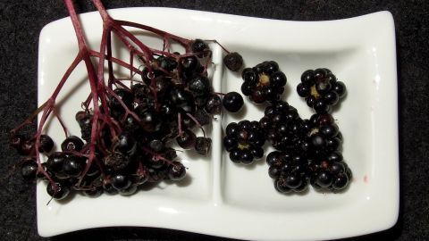 Schwarze Holunder- und Brombeeren liegen auf einem weißen Teller, bereit zur Verarbeitung für Gelee.