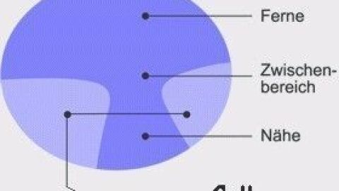 Ein Diagramm zeigt verschiedene Zonen (Ferne, Nähe, Randzonen) in einem blauen Kreis, möglicherweise für augenärztliche Analysen.