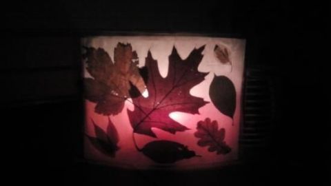 Eine Laterne aus Papier erleuchtet herbstliche Blätter, deren Farben im warmen Licht schimmern, während es dunkel ist.