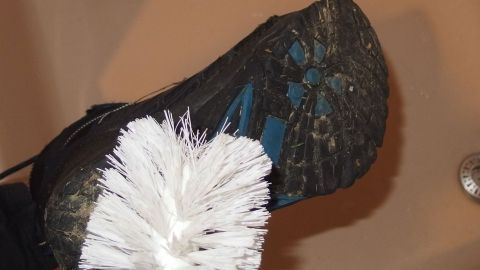 Ein Schuh wird mit einer Bürste gereinigt, um Hundekot von der Sohle zu entfernen, in einem Badezimmer.
