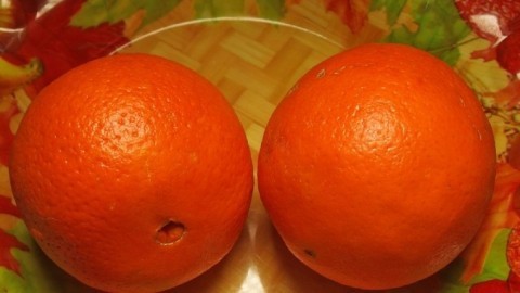 Orangen und andere Südfrüchte auf Frische testen