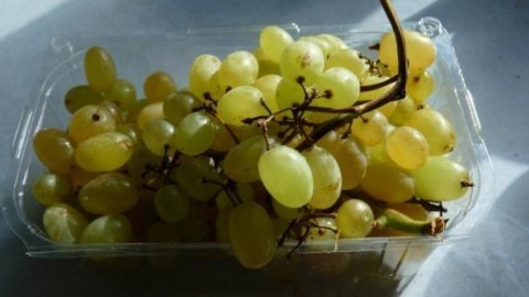 Weintrauben u. Ä. schnell & praktisch auf den Tisch bringen