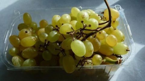 Weintrauben schnell und praktisch auf den Tisch bringen Eine Schale mit grünen Weintrauben liegt auf einem hellen Tisch und wartet auf den Genuss als praktischer Snack.
